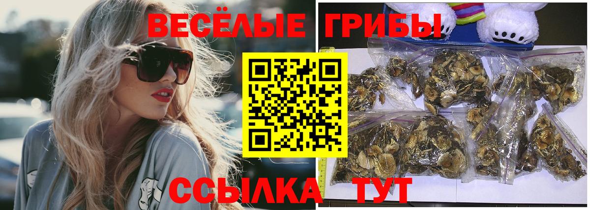 Псилоцибиновые грибы Psilocybe Киров
