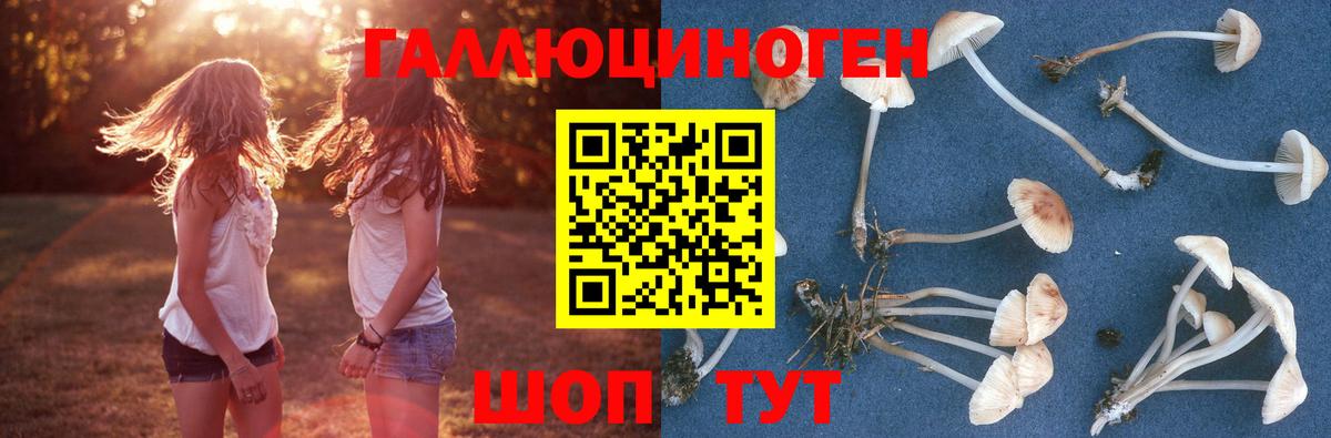 Псилоцибиновые грибы прущие грибы  Вход с VPN  Киров 